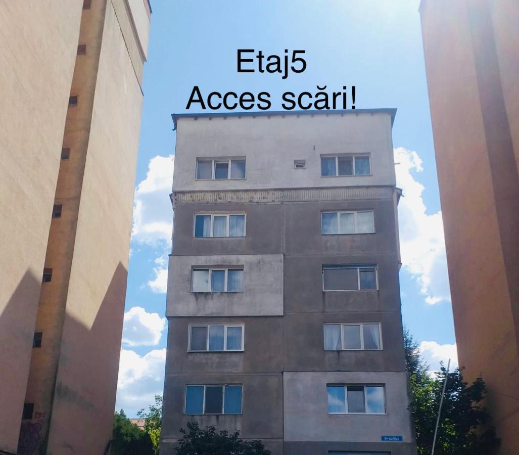 Zizi'S House Garii Apartman Brassó Kültér fotó