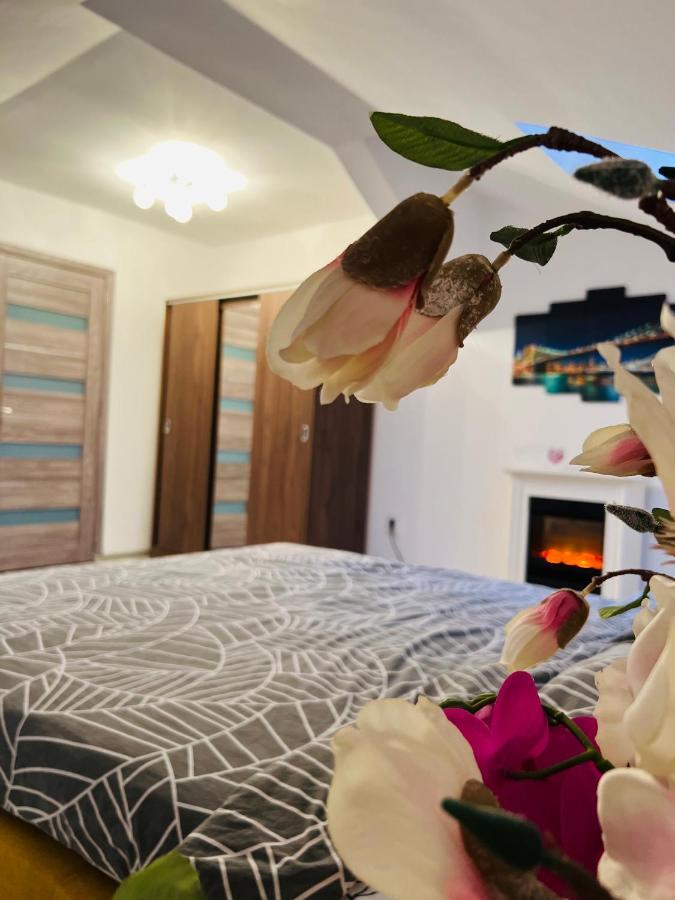 Zizi'S House Garii Apartman Brassó Kültér fotó