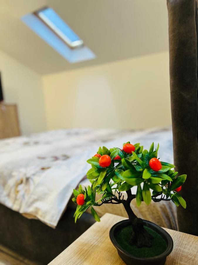 Zizi'S House Garii Apartman Brassó Kültér fotó